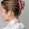 Hair Accessories Limlim | Shiny Acrylic Jaw